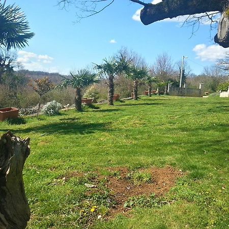 Villa Lara Karojba Szoba fotó
