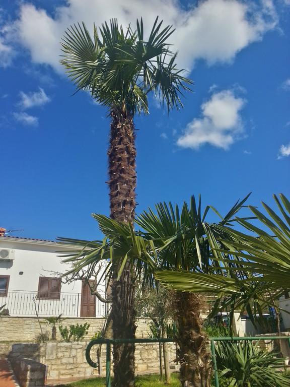 Villa Lara Karojba Szoba fotó
