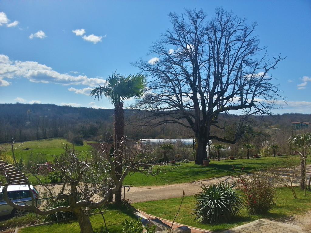 Villa Lara Karojba Szoba fotó